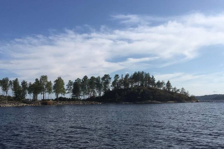 foto11