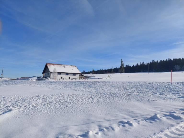 foto41