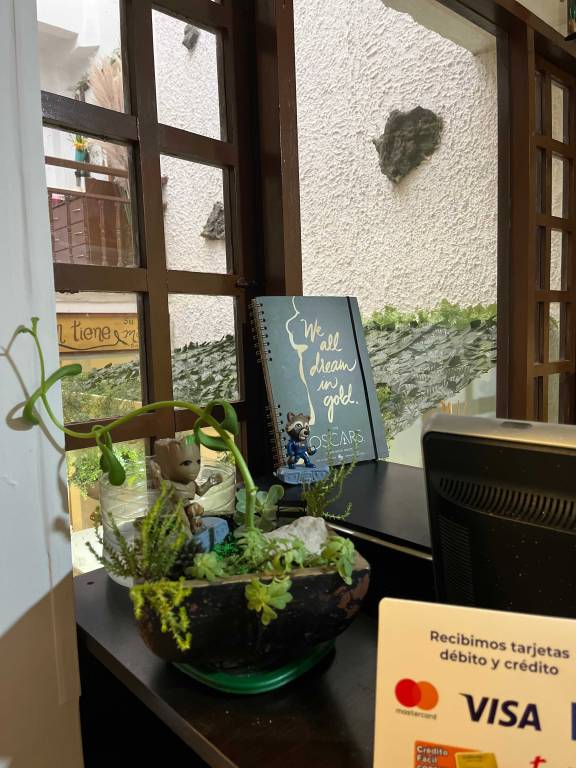 foto12