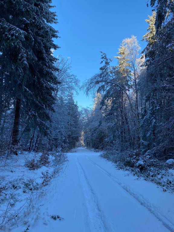 foto20
