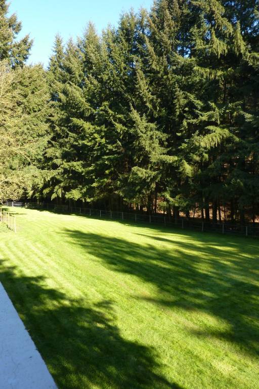 foto14