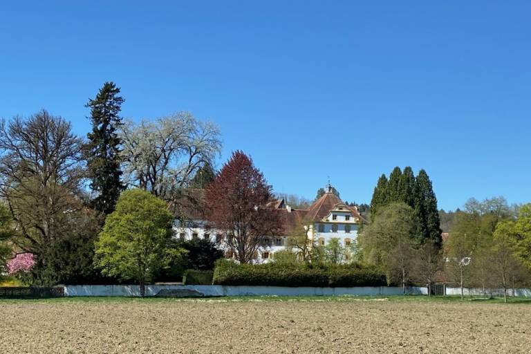 foto15