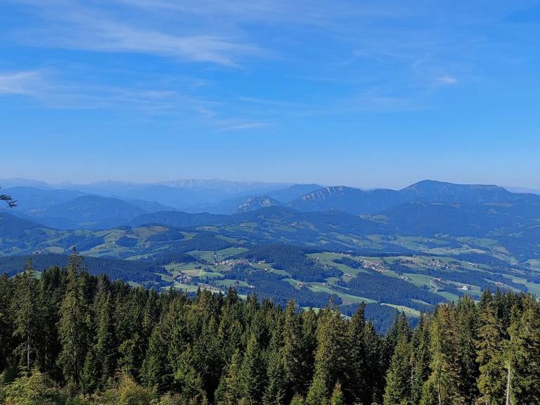 foto18