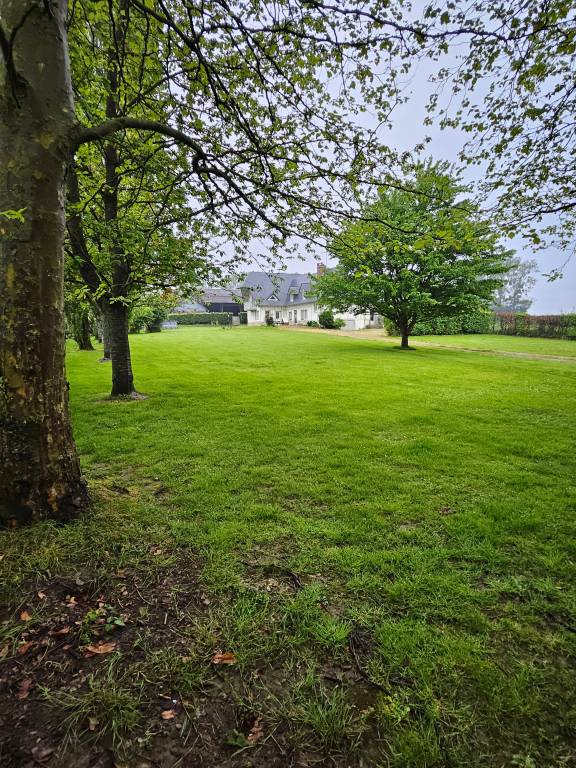 foto16