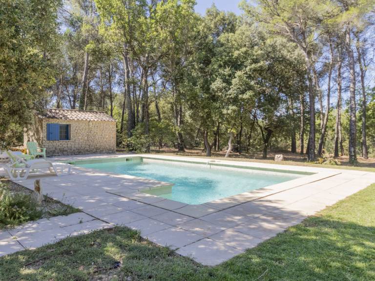 foto41