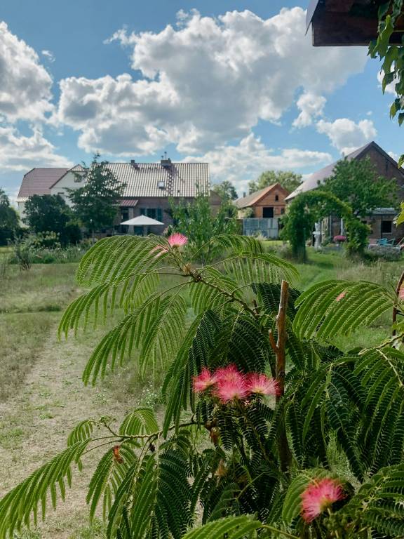 foto28