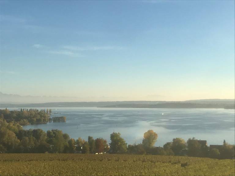 foto19