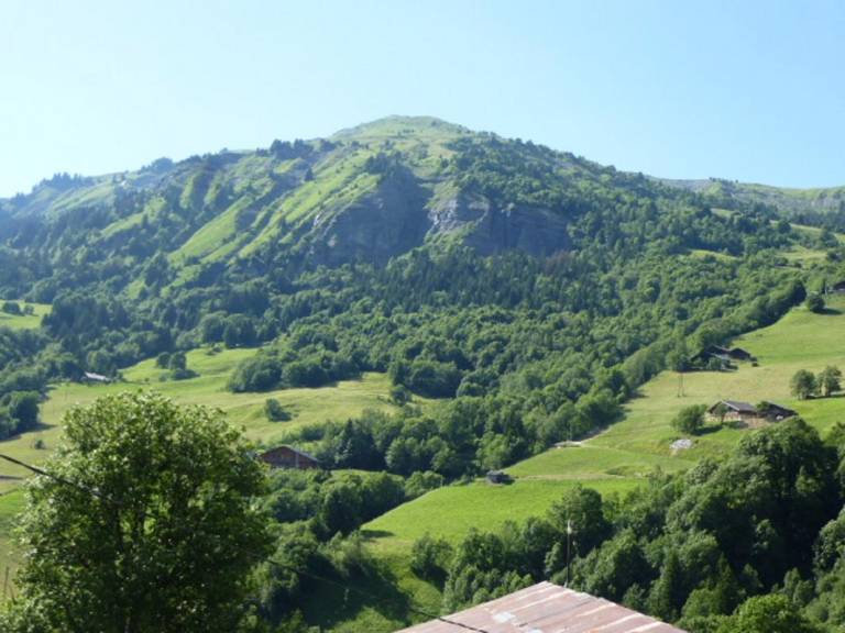 foto24