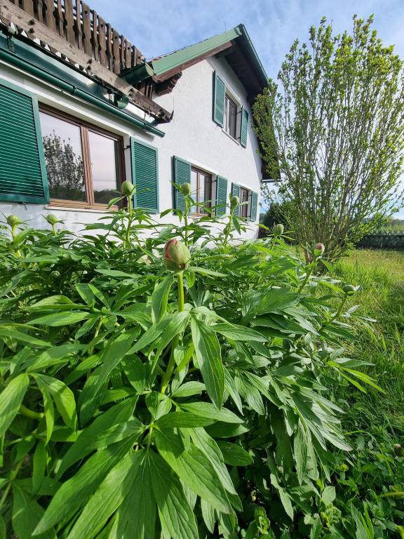foto20