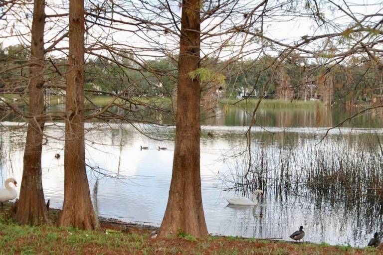 Cottage  Lake Davis/Greenwood