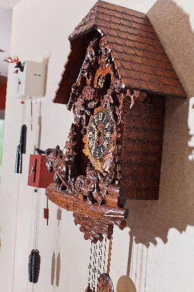 foto6
