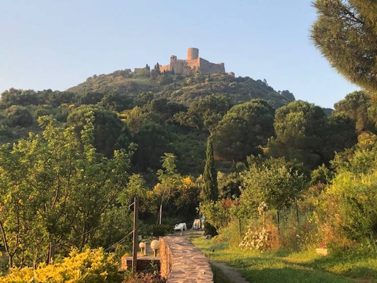 foto14