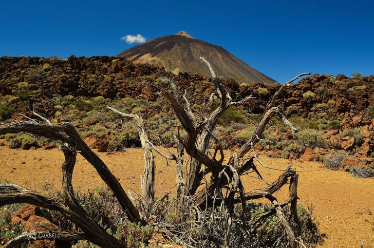 Chalet Las Cañadas del Teide