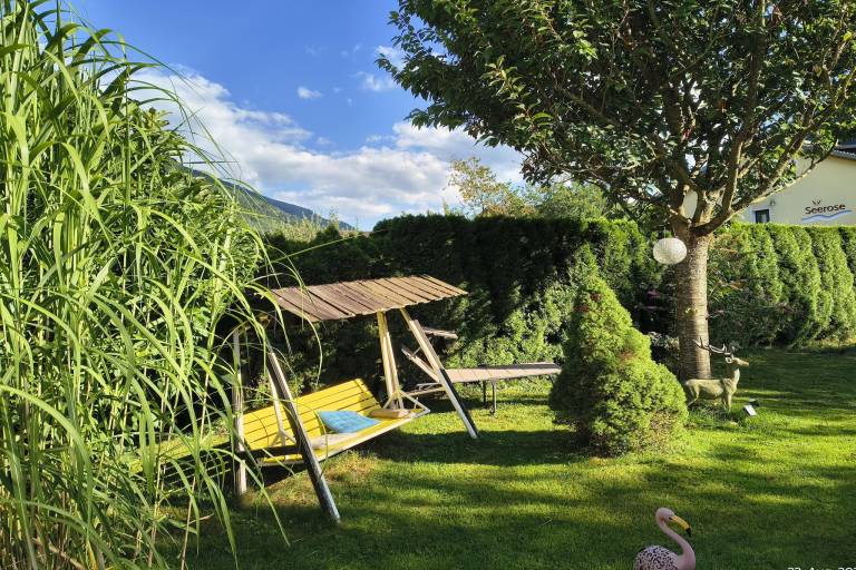 foto19