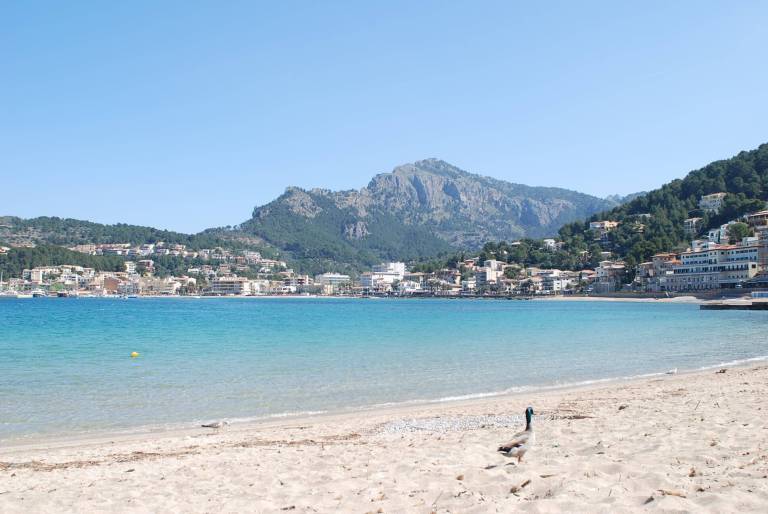 House Port de Sóller