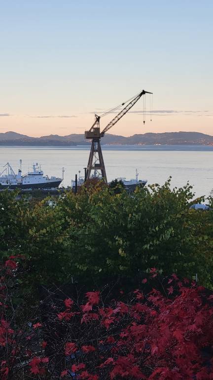 foto20