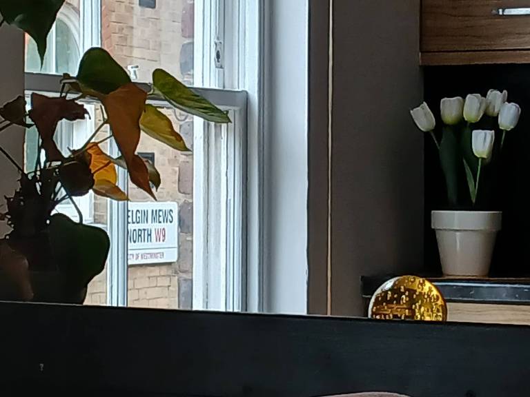 foto5