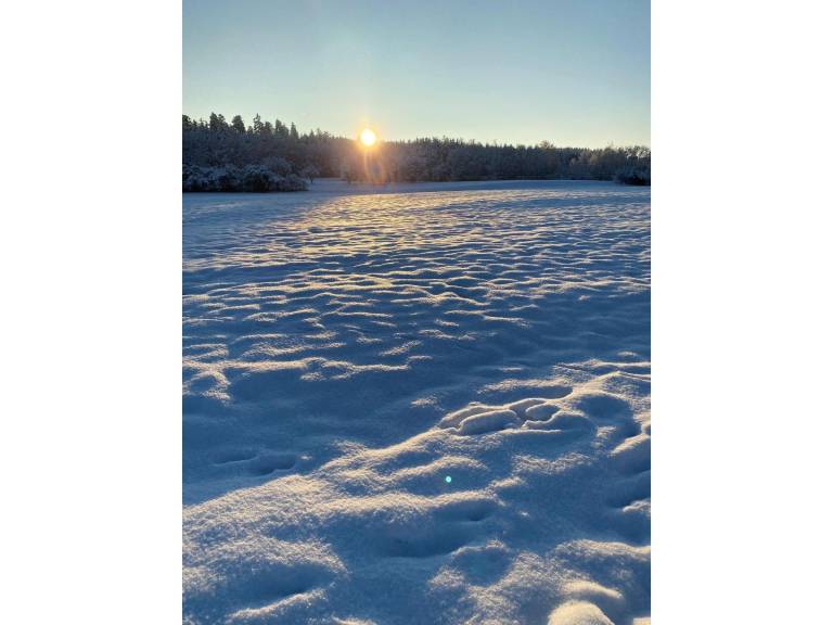 foto17