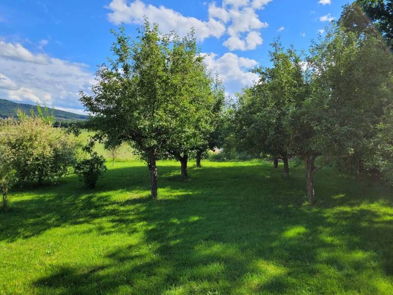 foto20
