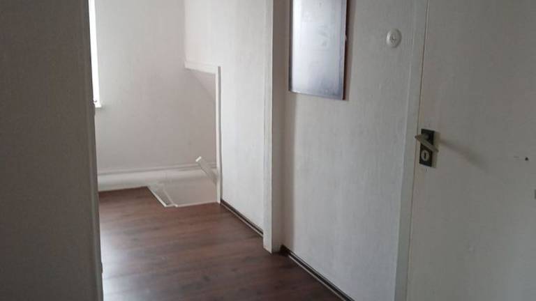 foto11