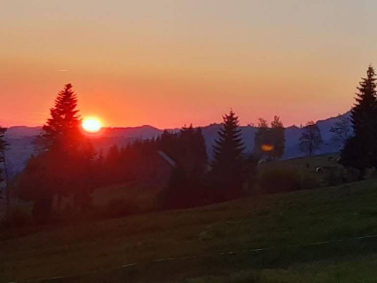 foto21