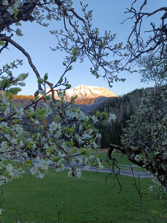 foto18
