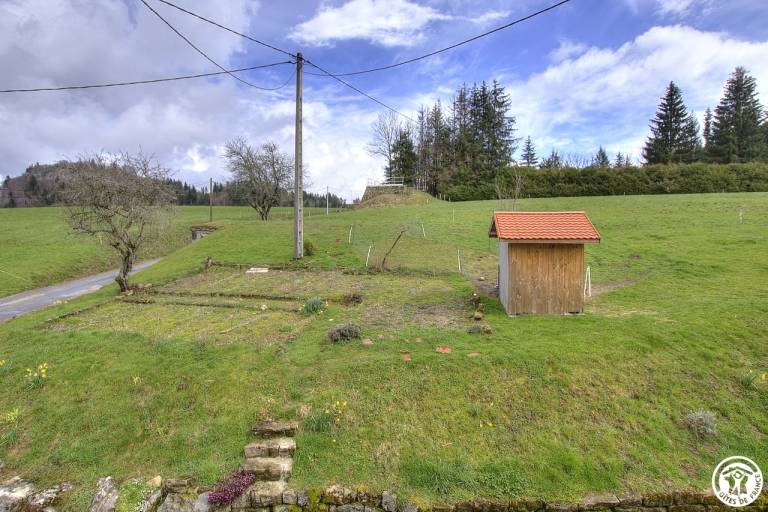 foto19