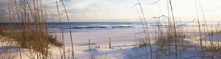 Condo Gulf Shores