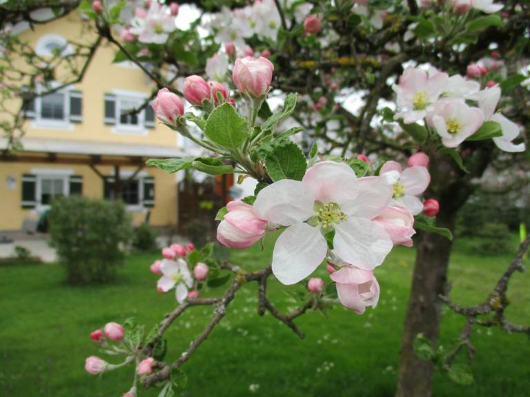 foto20
