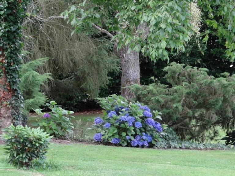 foto15