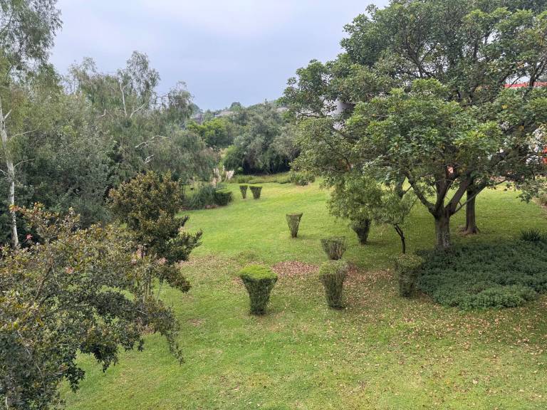 foto42