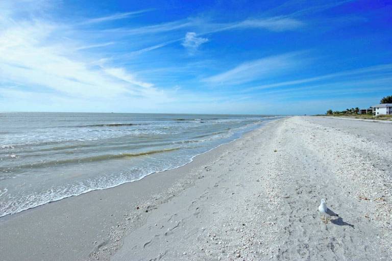 House Captiva