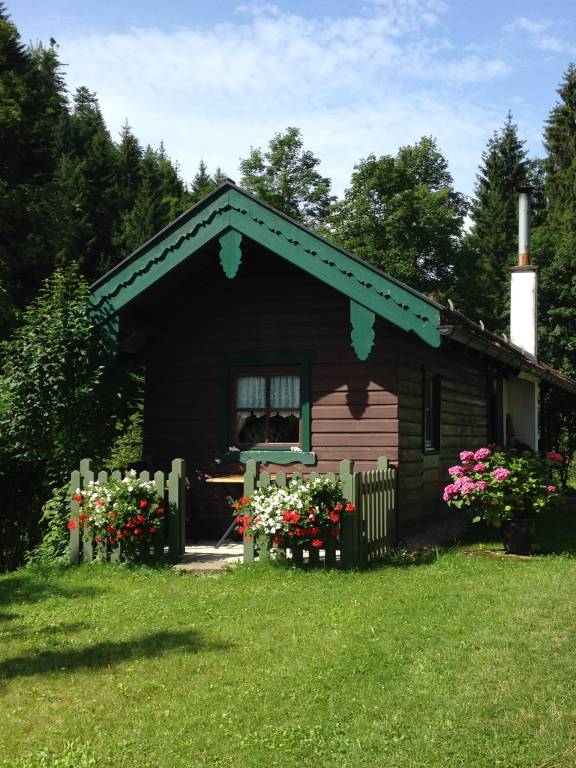 foto7