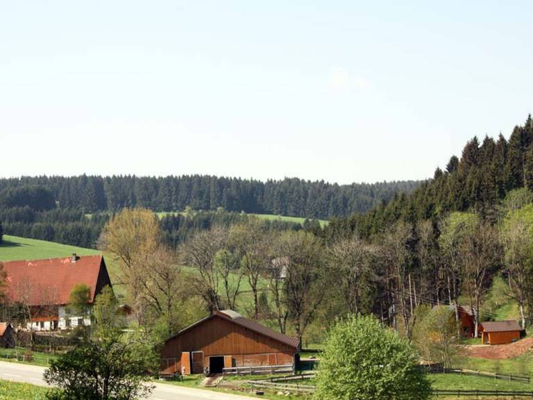 foto15