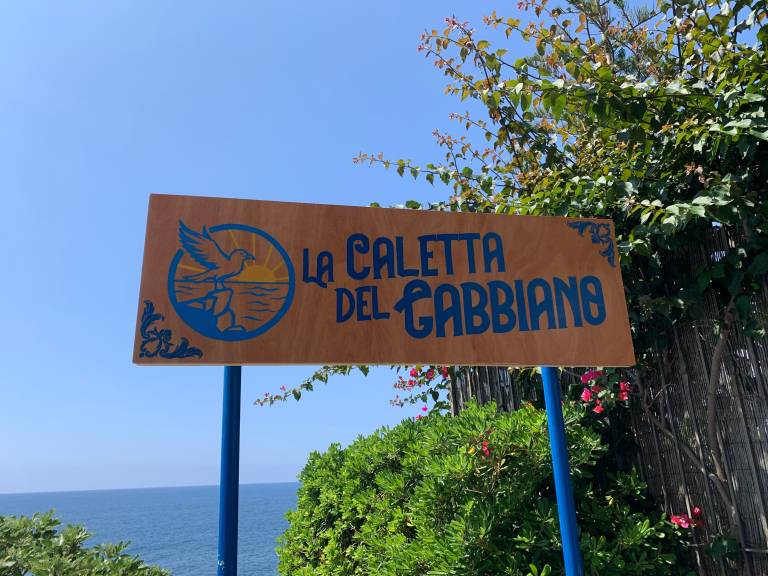 foto41