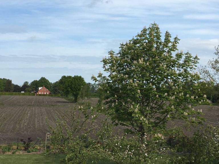 foto21