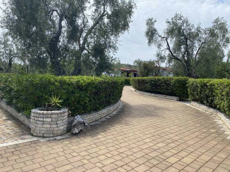 foto11