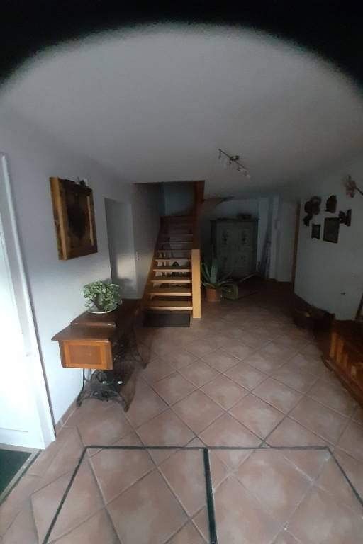 foto7