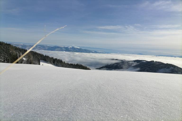 foto30