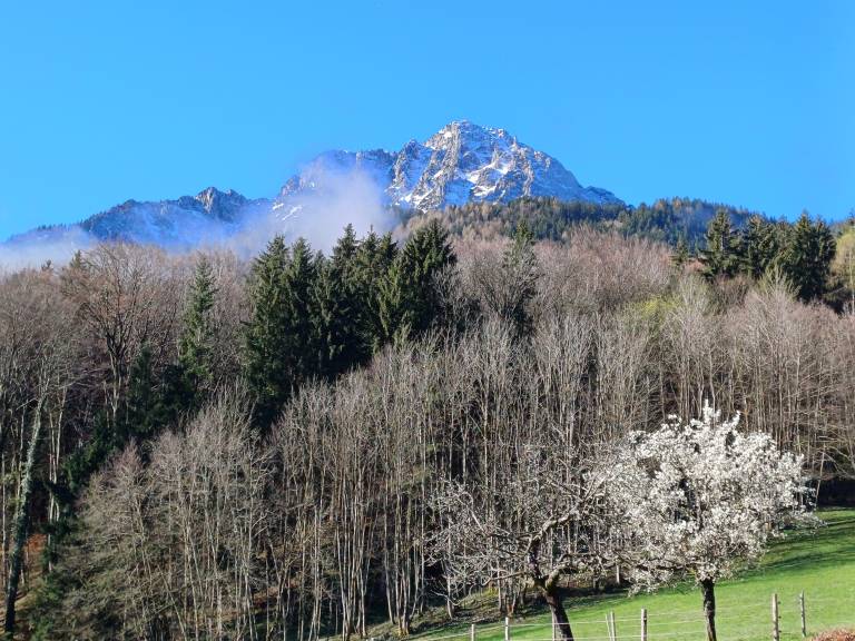 foto22