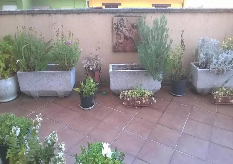 foto3