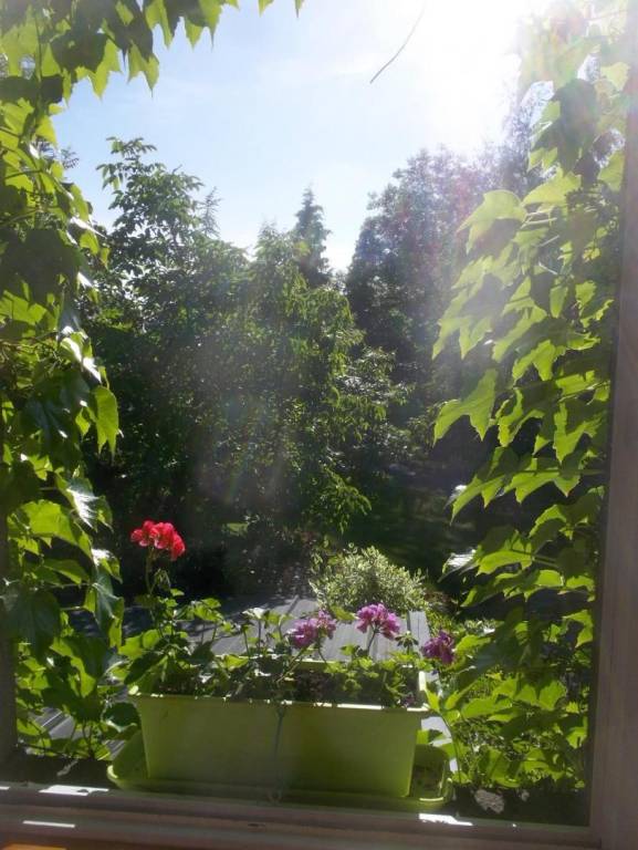 foto14