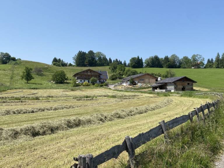 foto19