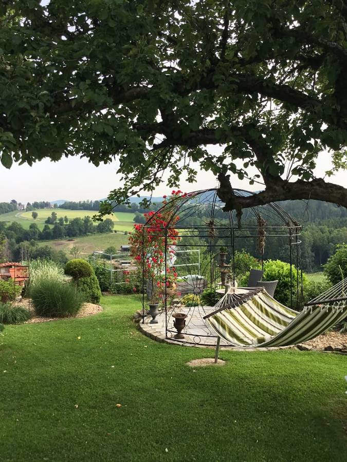 foto11