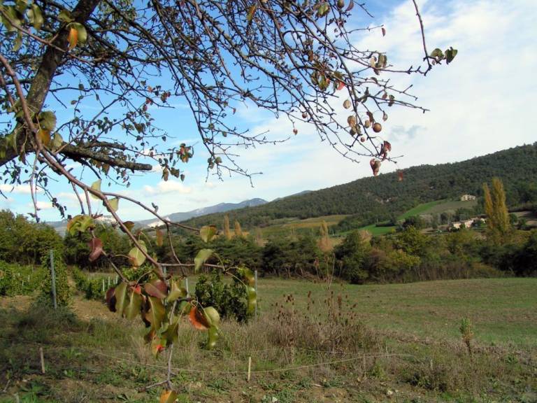 foto6