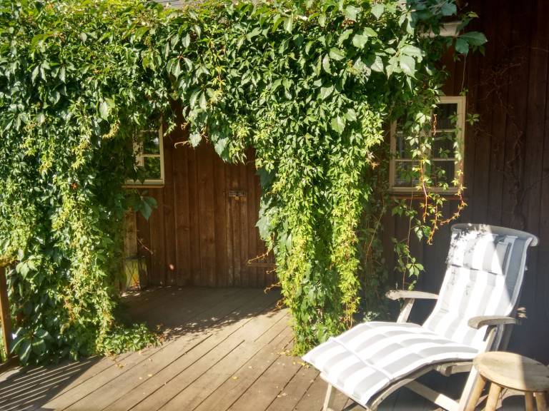foto26