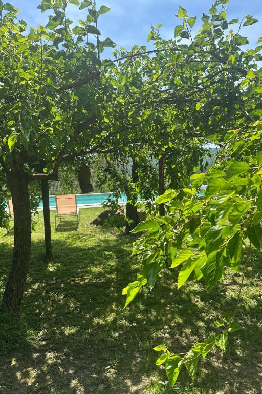 foto42