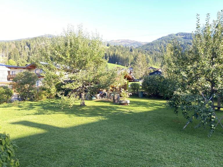 foto11