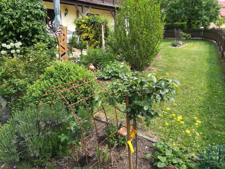 foto16
