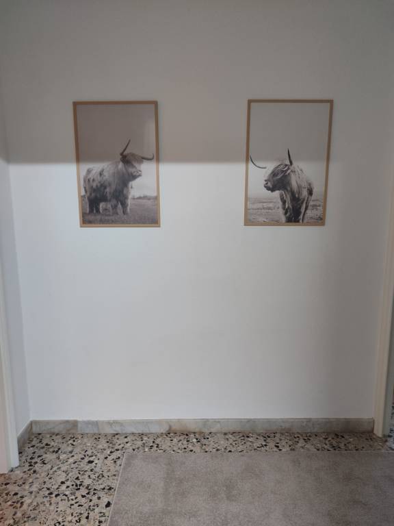 foto13